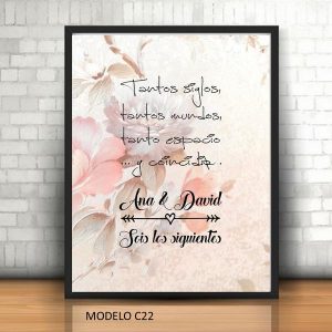 Cuadro para amigos de los novios: "Sois los siguientes". "Tantos siglos, tantos mundos, tanto espacio...y coincidir"